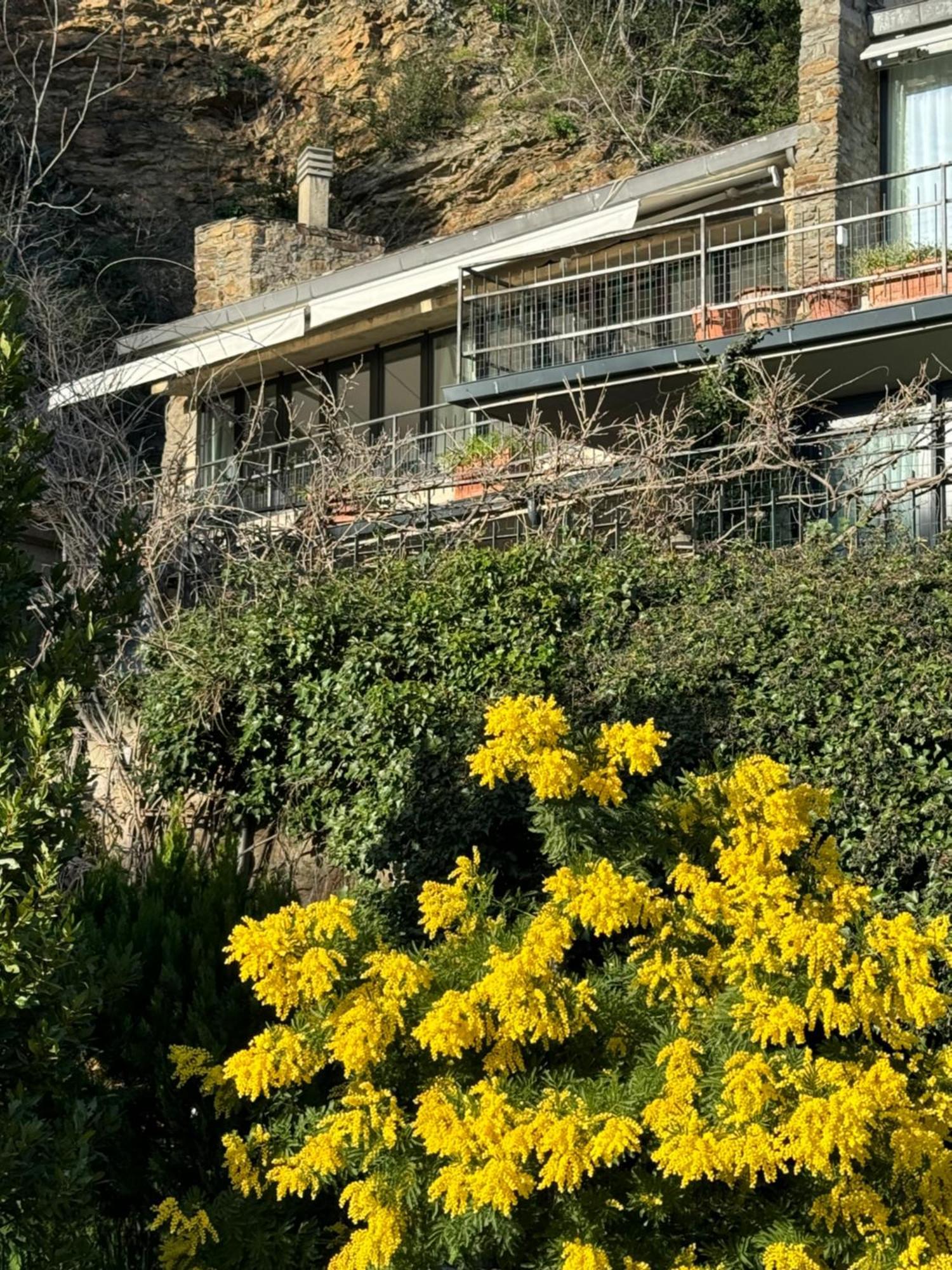 Florence Rock Apartment エクステリア 写真
